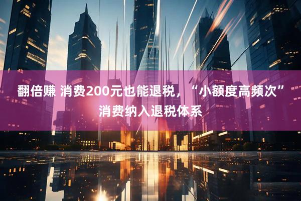 翻倍赚 消费200元也能退税，“小额度高频次”消费纳入退税体系